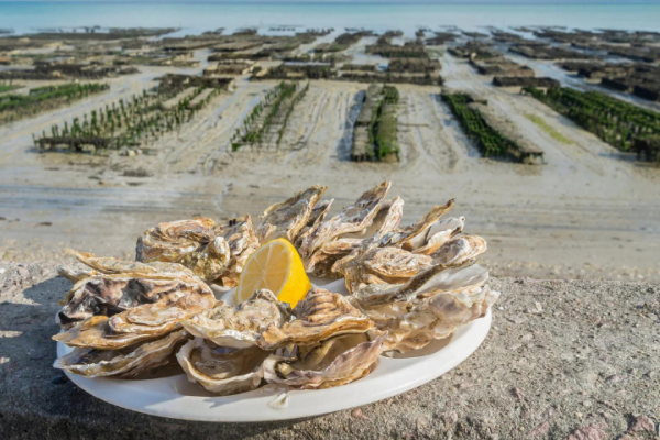 vtc rennes bretagne chauffeur privé vtc cancale